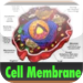 The Miracle in the Cell Membrane ( It all deals with the cell, blood a